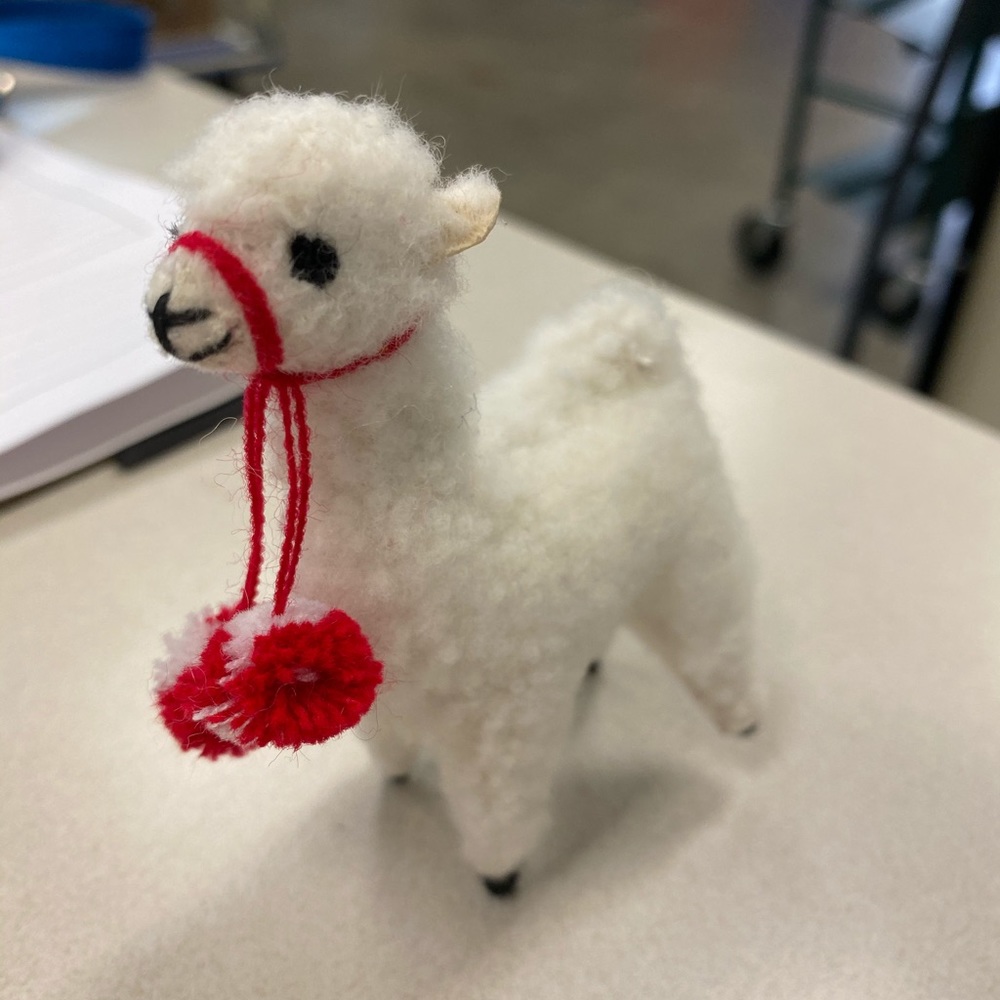 Meet your Posher, Sheri